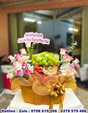 Giỏ Trái Cây Nhập Khẩu 67